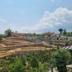 Bukit Dewa - Jambi