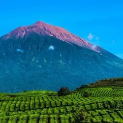 Kerinci Seblat National Park - Jambi
