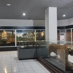 Museum Negeri Jambi - Jambi