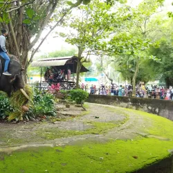 Taman Rimba Zoo - Jambi