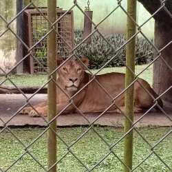 Taman Rimba Zoo - Jambi