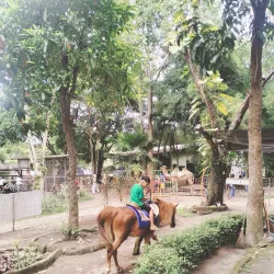 Taman Rimba Zoo - Jambi