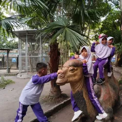 Taman Rimba Zoo - Jambi