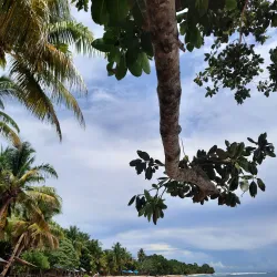 Base G Beach - Jayapura