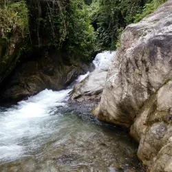 Cenderawasih Bay National Park - Jayapura