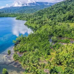Cenderawasih Bay National Park - Jayapura