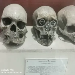 Papua Museum (Museum Papua) - Jayapura