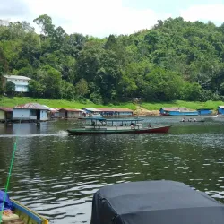 Bukit Baka Bukit Raya National Park - Kalimantan