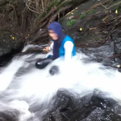Bukit Baka Bukit Raya National Park - Kalimantan