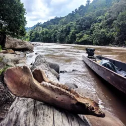 Kayan Mentarang National Park - Kalimantan