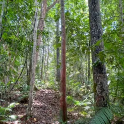 Kayan Mentarang National Park - Kalimantan