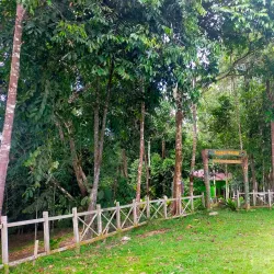 Sungai Wain Protection Forest - Kalimantan