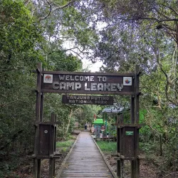 Tanjung Puting National Park - Kalimantan
