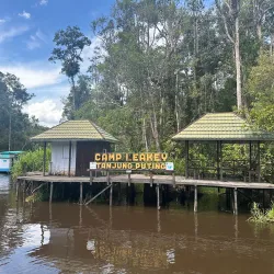 Tanjung Puting National Park - Kalimantan