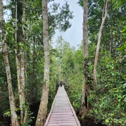 Tanjung Puting National Park - Kalimantan