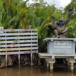 Tanjung Puting National Park - Kalimantan