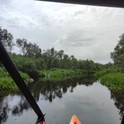 Tanjung Puting National Park - Kalimantan
