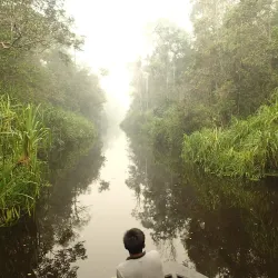 Tanjung Puting National Park - Kalimantan