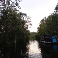 Tanjung Puting National Park - Kalimantan