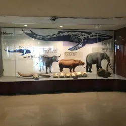 Museum Sri Baduga - Karawang
