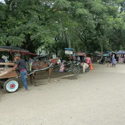 Situ Cipule - Karawang