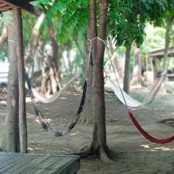 Situ Cipule - Karawang