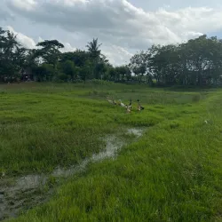 Situs Purbakala Batujaya - Karawang