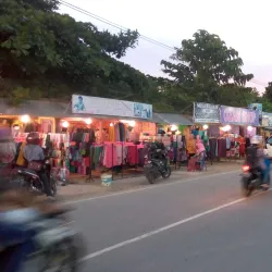 Haluoleo University - Kendari