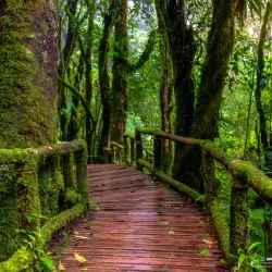 Tumburano Beach - Kendari