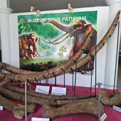 Patiayam Beach - Kudus