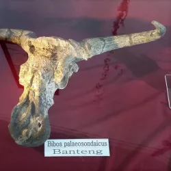 Patiayam Beach - Kudus