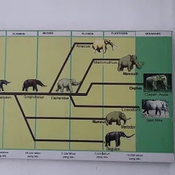 Patiayam Beach - Kudus