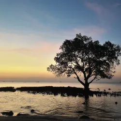 Oesapa Beach - Kupang