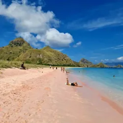 Pink Beach - Labuan Bajo