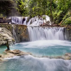 Banggai Marine Conservation Area - Luwuk
