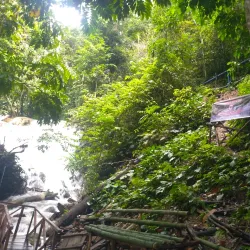 Banggai Marine Conservation Area - Luwuk