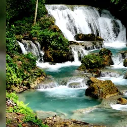 Banggai Marine Conservation Area - Luwuk