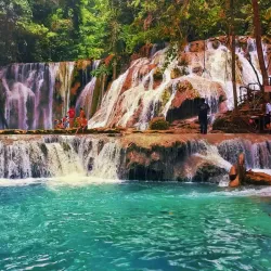 Banggai Marine Conservation Area - Luwuk