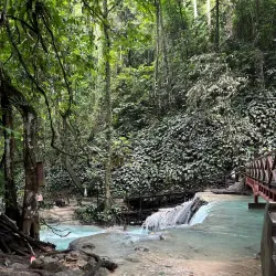 Banggai Marine Conservation Area - Luwuk
