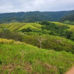 Bukit Tanjung Bobo - Luwuk