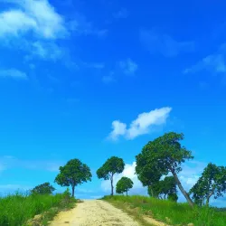 Bukit Tanjung Bobo - Luwuk