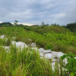 Bukit Tanjung Bobo - Luwuk