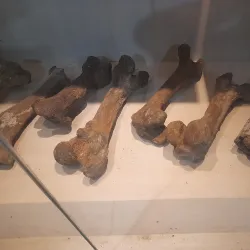 Museum Madiun - Madiun