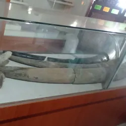 Museum Madiun - Madiun