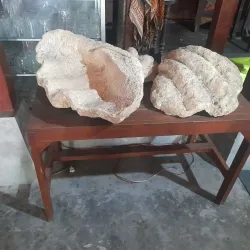 Museum Madiun - Madiun