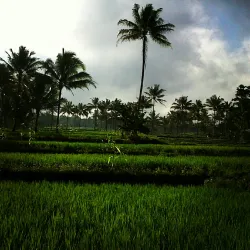 Sumber Wuluh Waterfall - Madiun