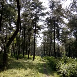 Sumber Wuluh Waterfall - Madiun