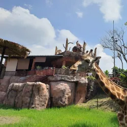 Batu Secret Zoo - Malang