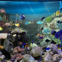 Batu Secret Zoo - Malang