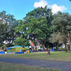 Malang City Square (Alun-Alun Kota Malang) - Malang